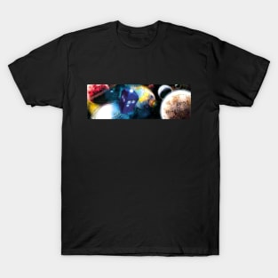 Time-And-Relative-Demension-In-Space T-Shirt